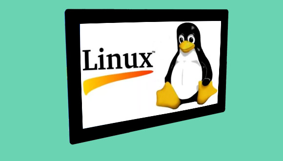 Open Frame Display with I.MX6 Dual/Quad Core(Linux loaded)
